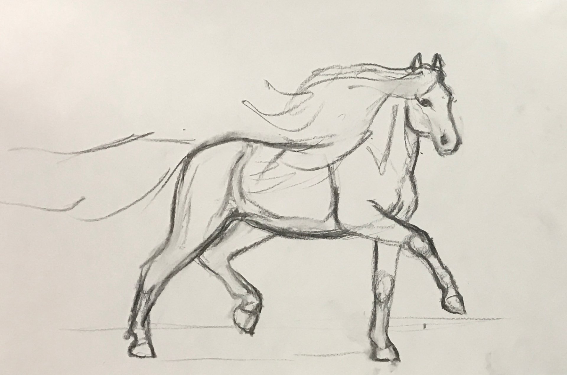 Sketching and Pencil Shading Classes for Intermediates (Online